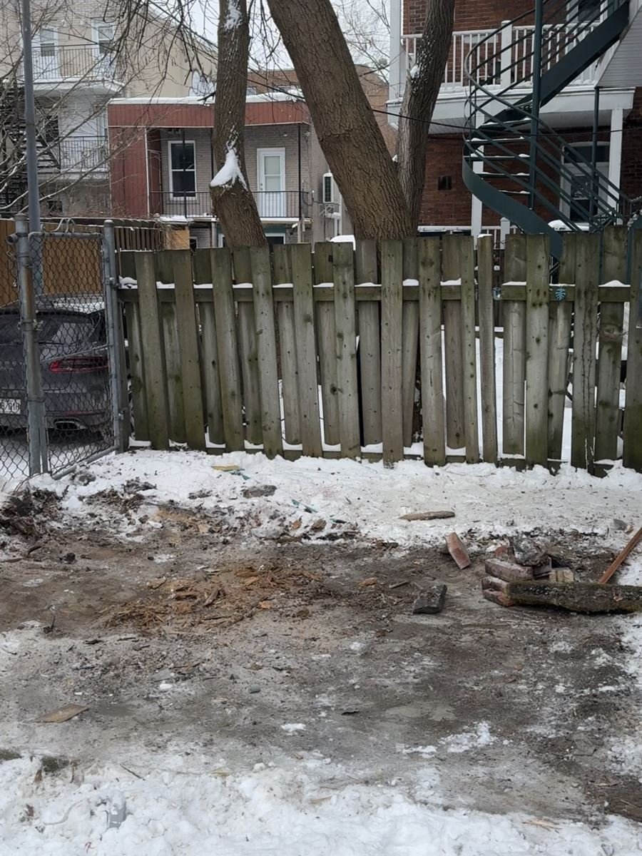 Backyard cleared after the shed and all its lumber were removed